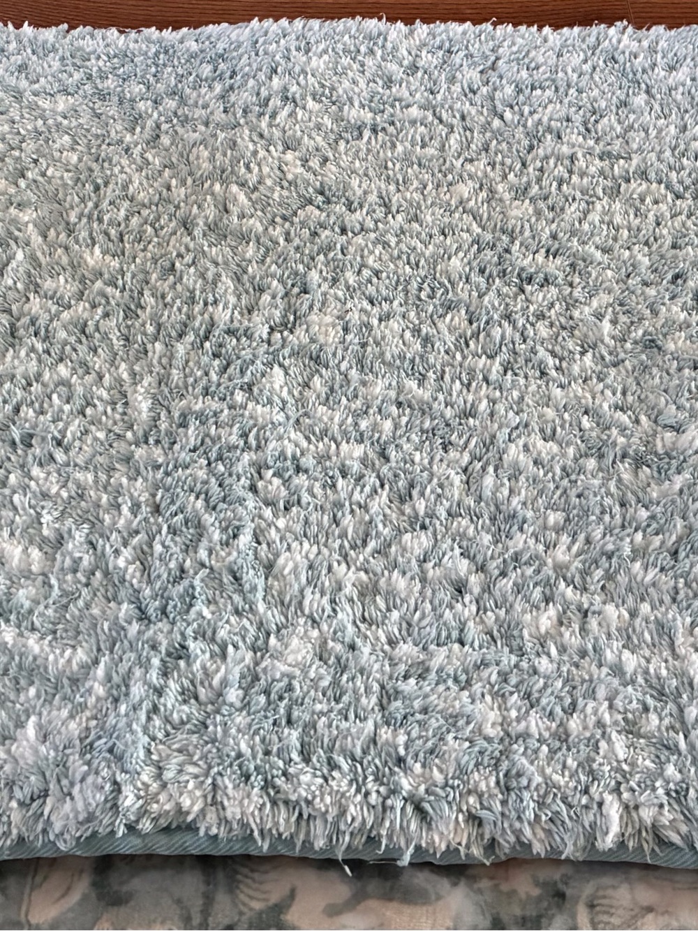 Plush Shag Bath Rug - Light Blue